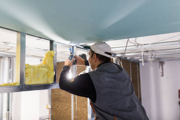 Types of Insulation We Offer in San Fernando, CA