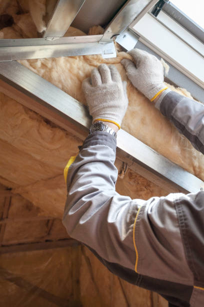 Best Insulation for Specific Applications in San Fernando, CA