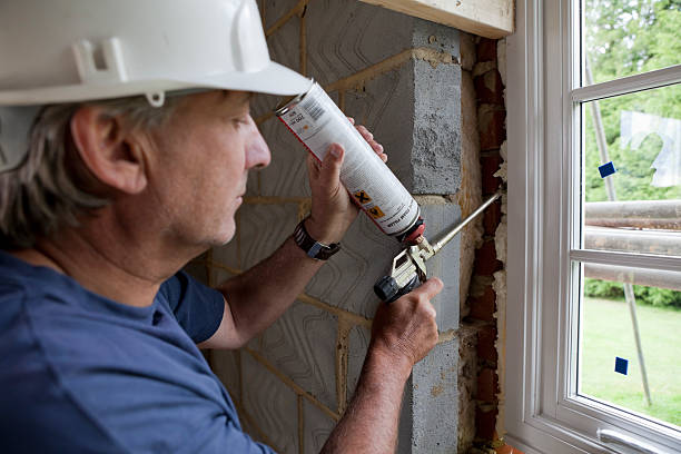Best Geographic-Specific Insulation Services in San Fernando, CA