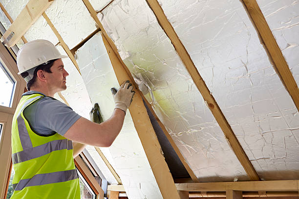 Best Eco-Friendly Insulation in San Fernando, CA